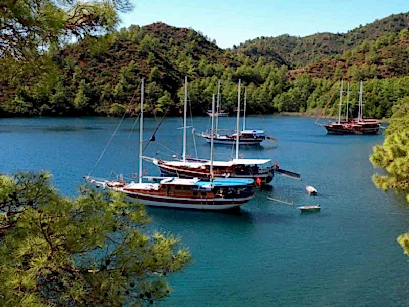 CARPEDIEM Turizm Göcek - Kiralık Yat Göcek | Göcek Tekne Kiralama, Göcek Yat Kiralama, Göcek Motoryat Kiralama, Göcek Tekne Turu Fiyatları, Göcek Tekne Turları, Günlük tekne Kiralama Göcek, Göcek Mavi Tur, Göcek Mavi yolculuk, Göcek 12 Adalar Turu, Kiralık Tekne Göcek, Göcek Kiralık Tekne, CarpeDiem Motoryat, CarpeDiem gocekonline, Göcek Marina CarpeDiem, Göcek Yat Kiralama, Günlük Yat Kiralama